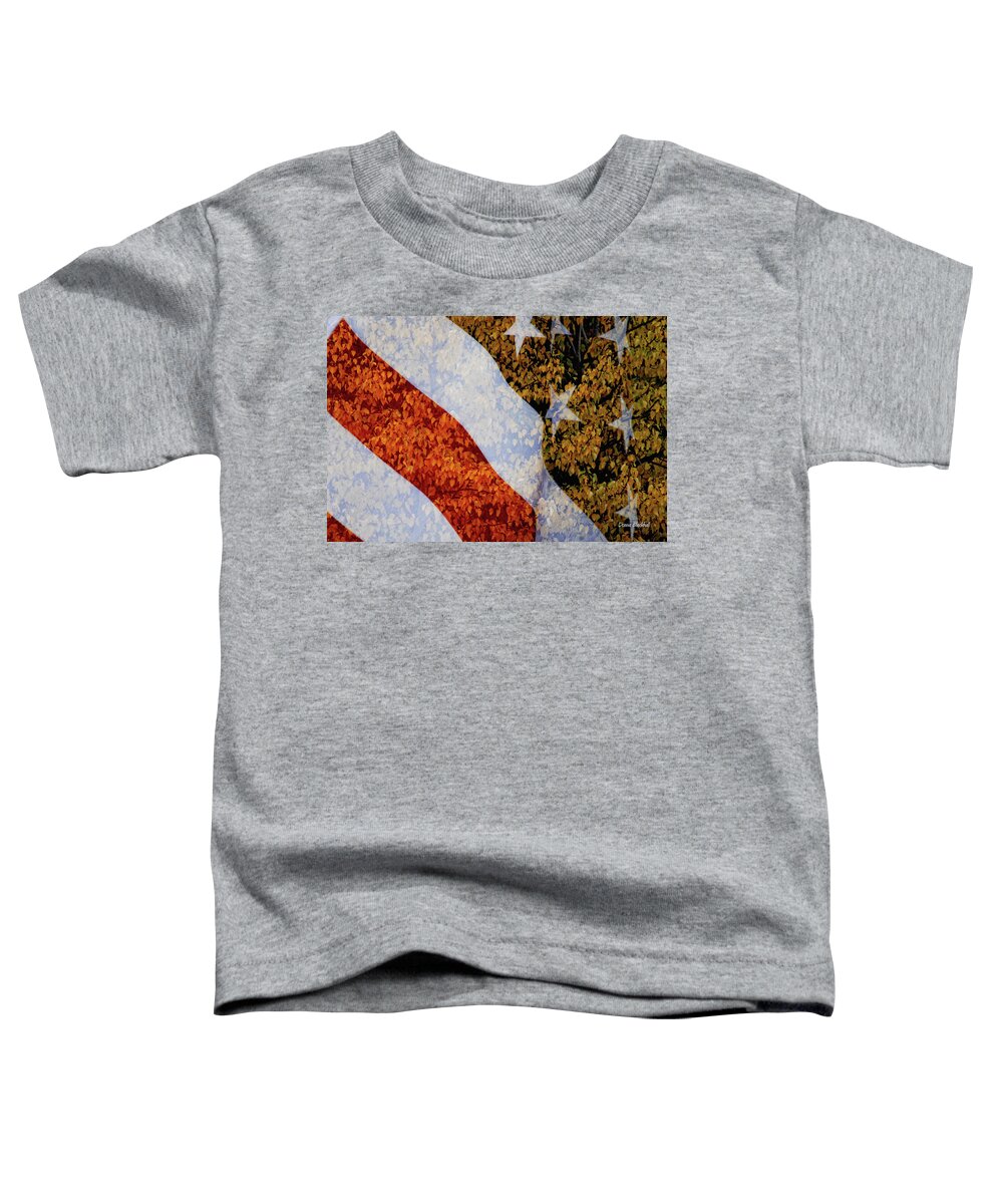 Flag Toddler T-Shirt featuring the photograph Sweet Land Of Liberty by Donna Blackhall
