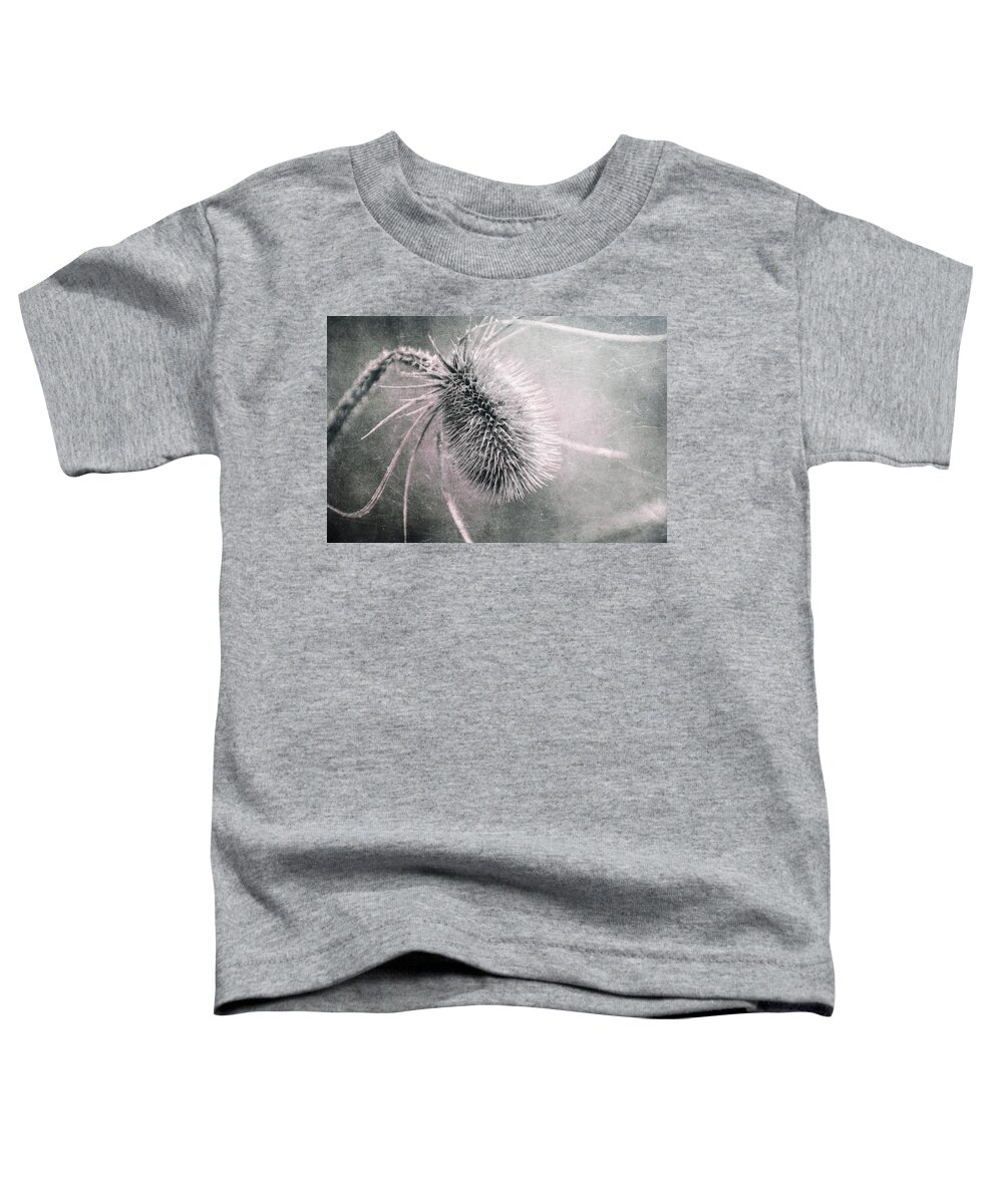 Plant Toddler T-Shirt featuring the photograph Teazel Weed by Tom Mc Nemar