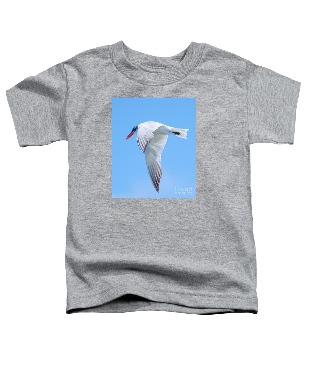 Bird Toddler T-Shirt featuring the photograph Tern It Up by Jeff at JSJ Photography