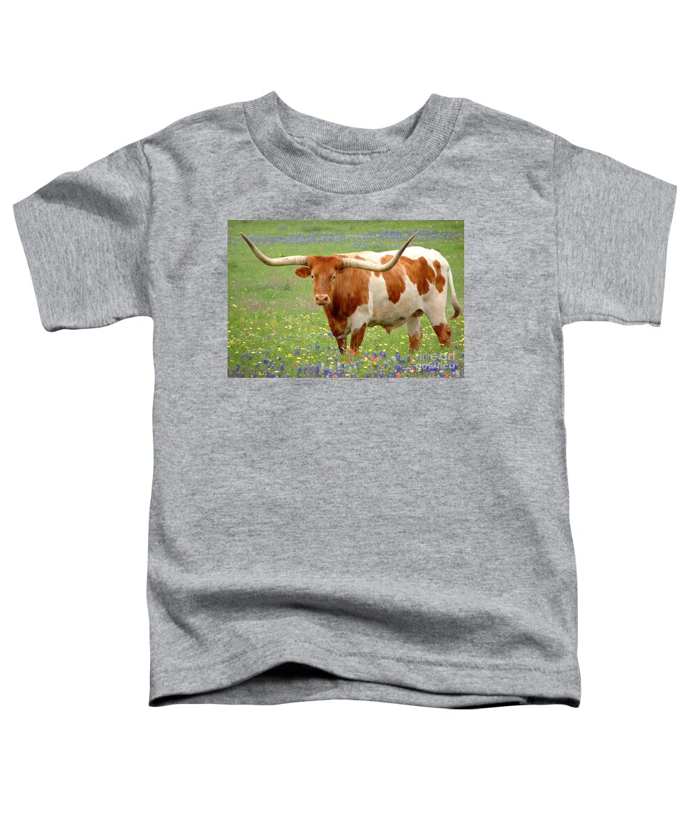 Texas Longhorn In Bluebonnets Toddler T-Shirt featuring the photograph Texas Longhorn Standing in Bluebonnets by Jon Holiday
