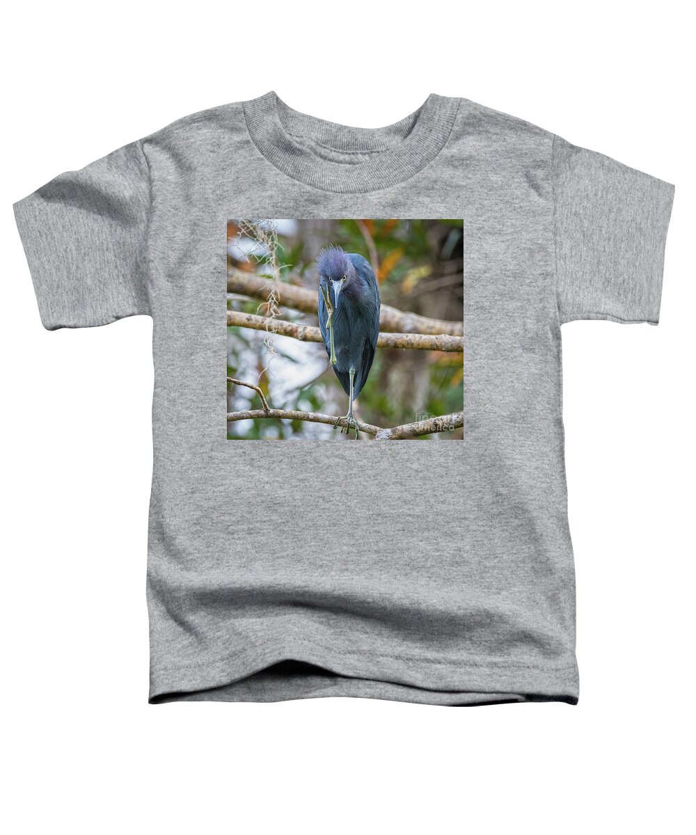 Herons Toddler T-Shirt featuring the photograph That Feels Great - Little Blue Heron by DB Hayes