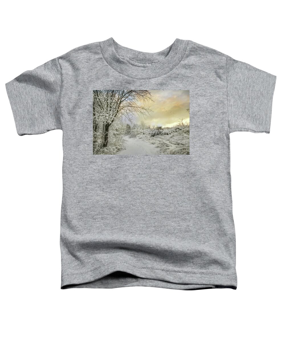 Winter Toddler T-Shirt featuring the photograph The Beauty of Winter by Lori Deiter