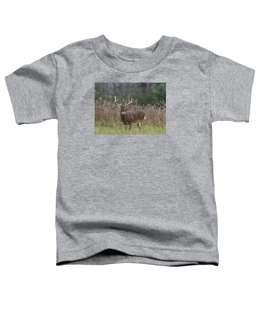 Deer Toddler T-Shirt featuring the photograph The Big Ten by Duane Cross