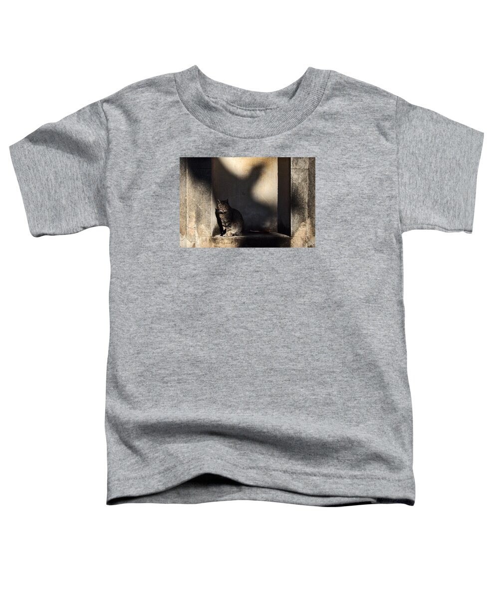 Cat Toddler T-Shirt featuring the photograph The Cat and the Bird by Osvaldo Hamer