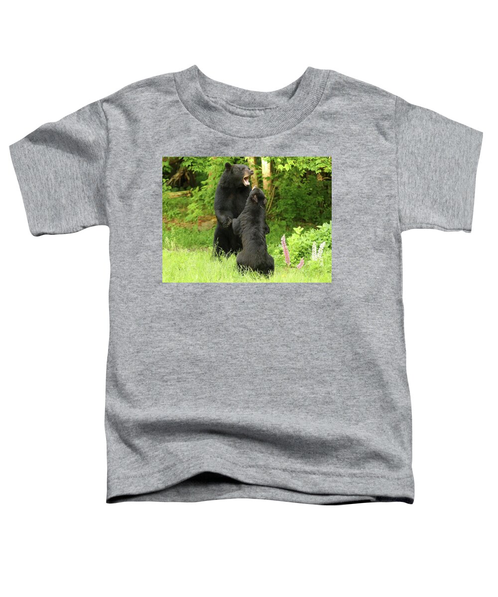Bears Toddler T-Shirt featuring the photograph The Disagreement by Duane Cross