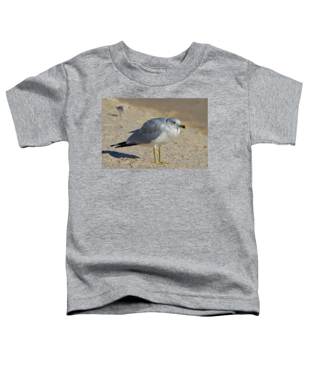 Seagull Toddler T-Shirt featuring the photograph The General by Carla Parris