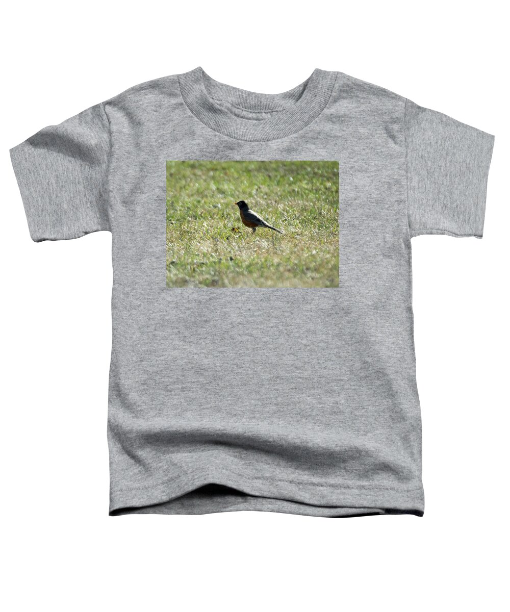 American Robin Toddler T-Shirt featuring the photograph The Lone Robin by Holden The Moment