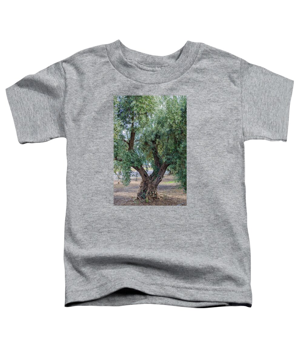 Wild Olive Tree Toddler T-Shirt featuring the photograph The Olive Tree by Tikvah's Hope