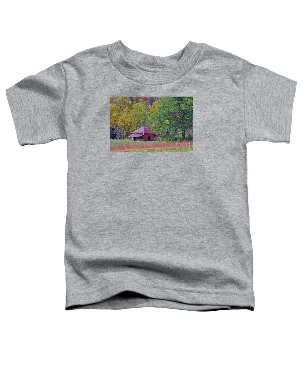 Shed Toddler T-Shirt featuring the photograph The Red Shed No.2 by Lydia Holly