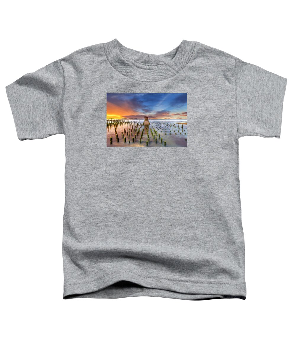Boiler Toddler T-Shirt featuring the photograph The Remains by David Gn