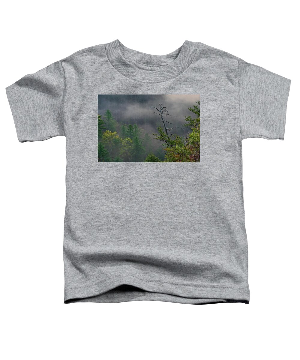Mill Creek Lake Toddler T-Shirt featuring the photograph The snag by Ulrich Burkhalter