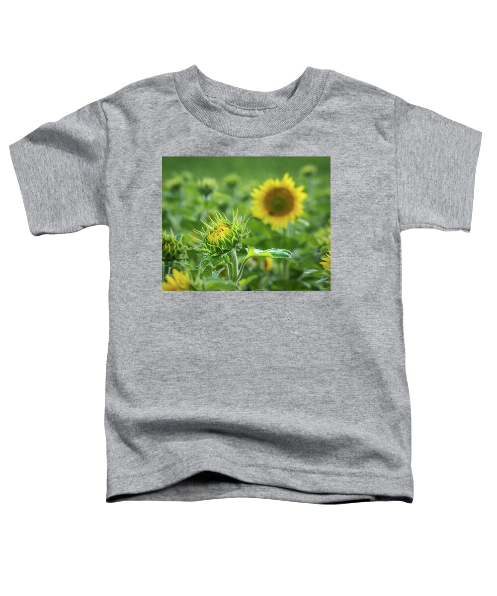 Sunflower Toddler T-Shirt featuring the photograph The Start Of Something Big by Bill Pevlor
