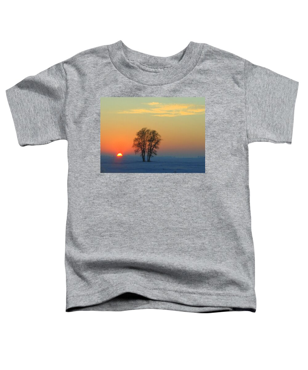Landscape Toddler T-Shirt featuring the photograph The Twins by Julie Lueders 