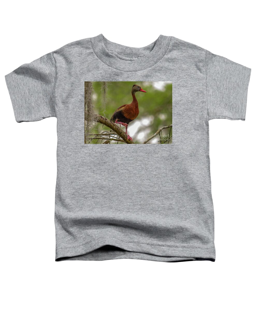 Duck Toddler T-Shirt featuring the photograph The Whistler by Barry Bohn