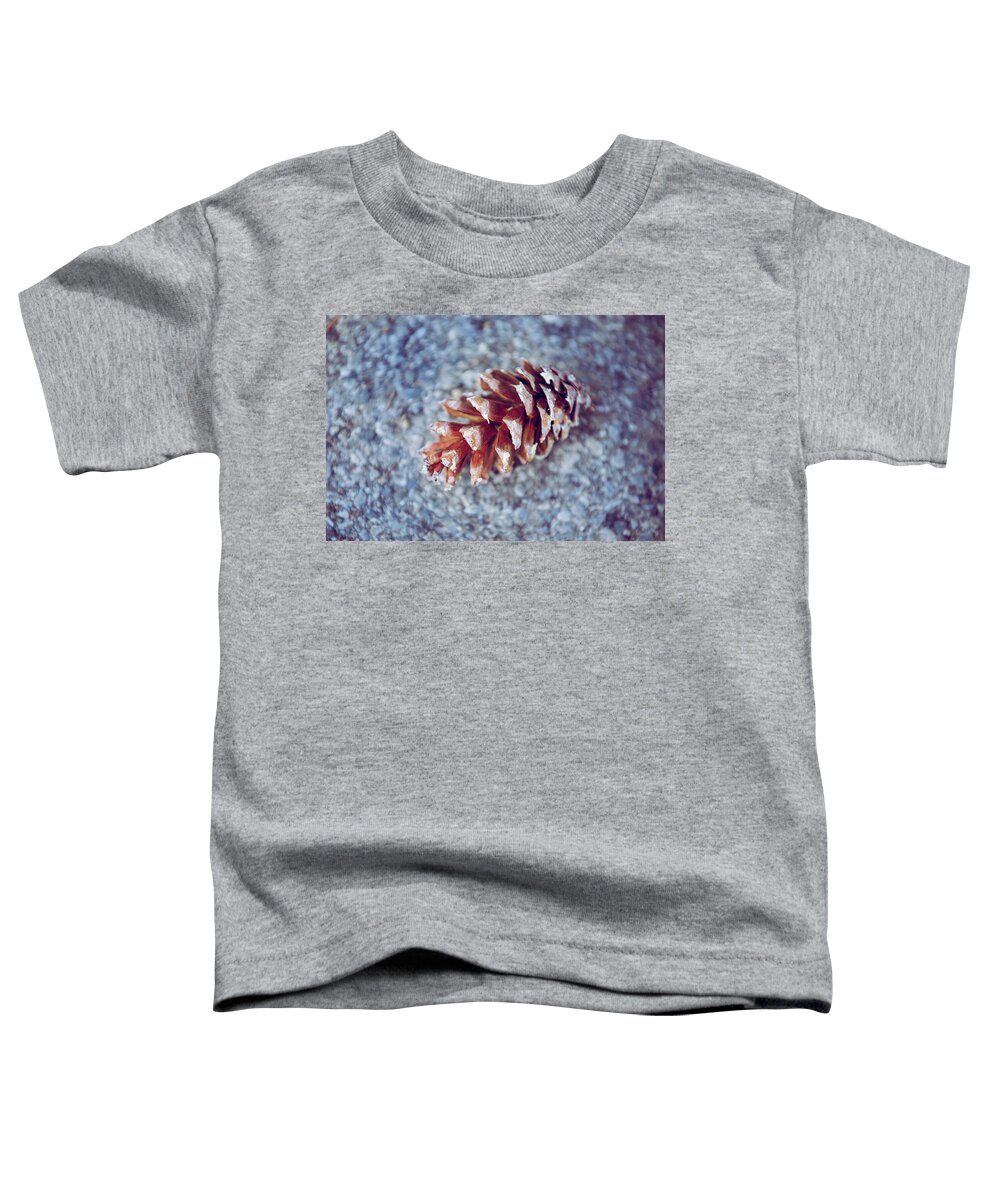 Autumn Toddler T-Shirt featuring the photograph Things of Autumn by Elvira Pinkhas