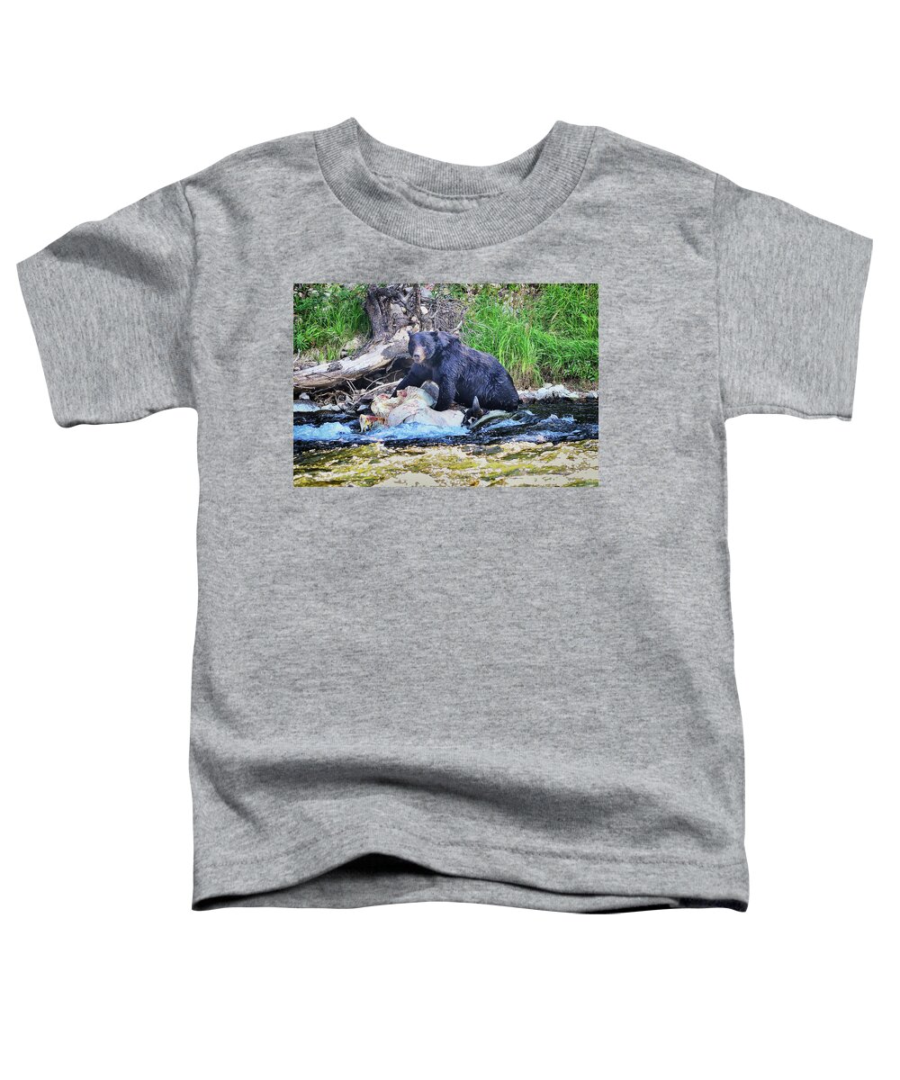 Grizzly Toddler T-Shirt featuring the photograph This Is Mine by Greg Norrell