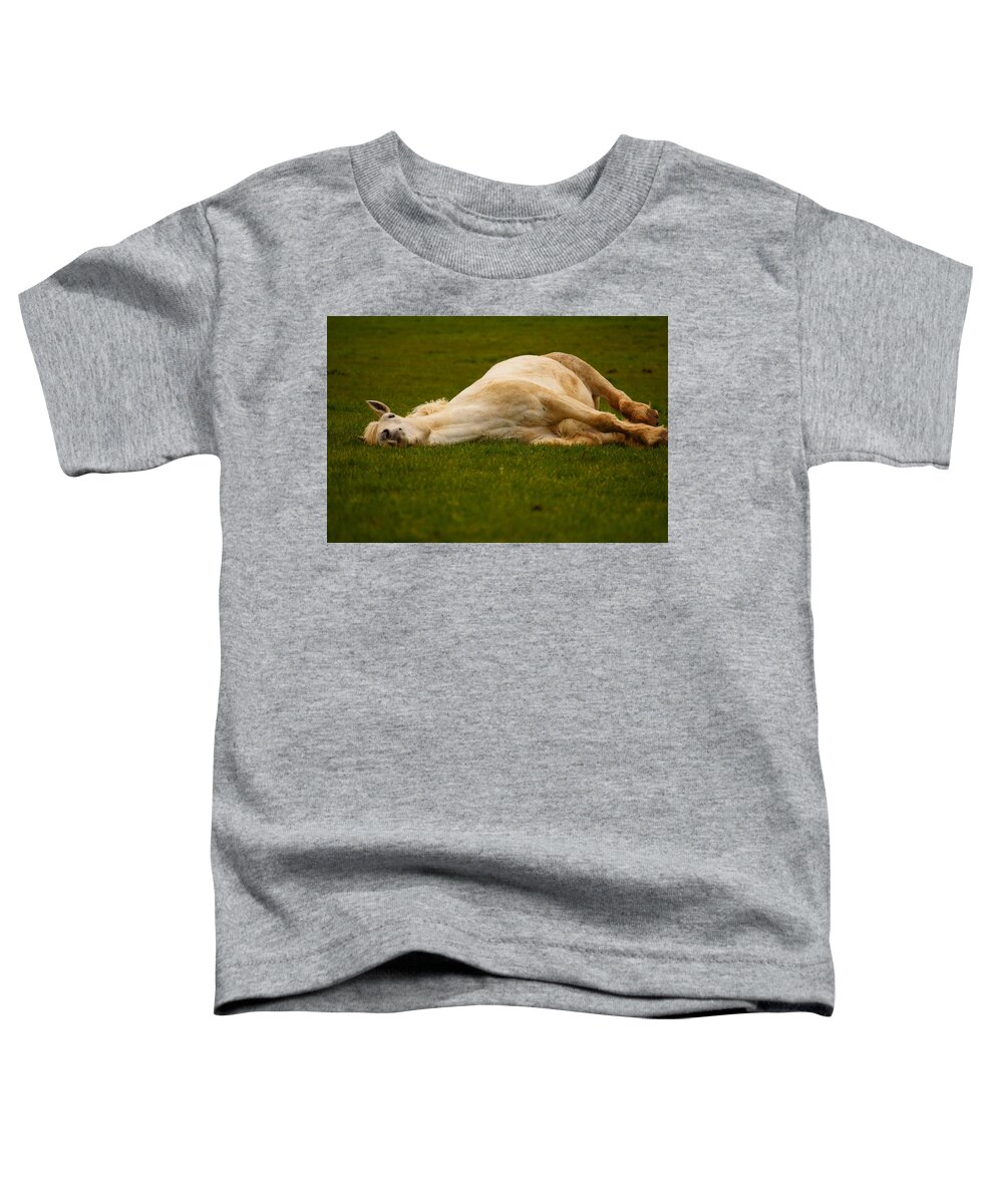 Horse Toddler T-Shirt featuring the photograph This Is The Life by Beth Collins