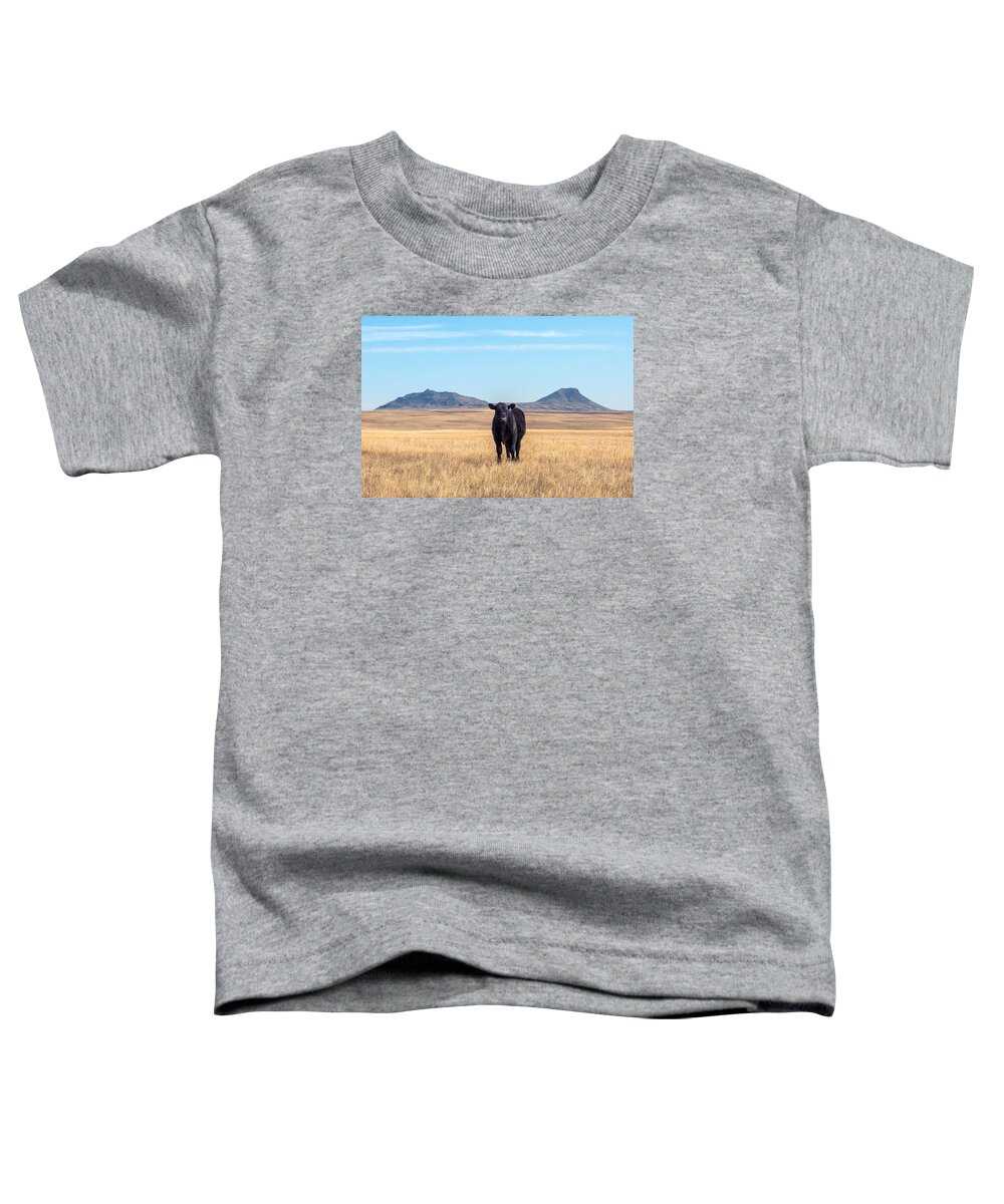 Black Angus Toddler T-Shirt featuring the photograph Three Buttes Steer by Todd Klassy