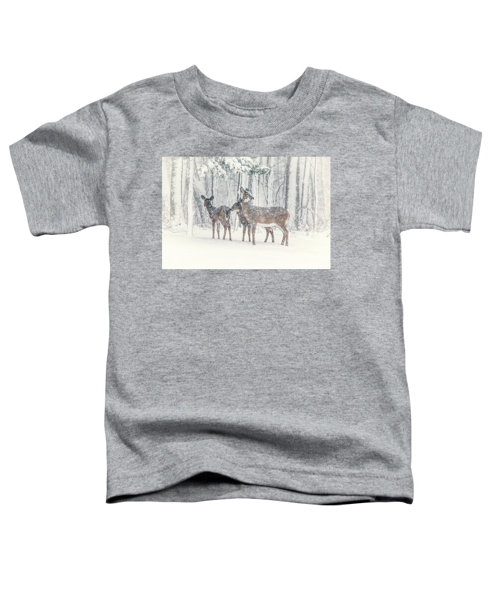 Deer Toddler T-Shirt featuring the photograph Three Deer Come Calling by Karol Livote
