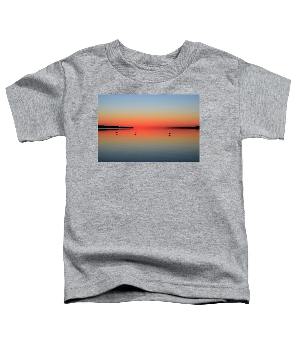 Abstract Toddler T-Shirt featuring the photograph Three Ducks Flying By At Dawn by Lyle Crump