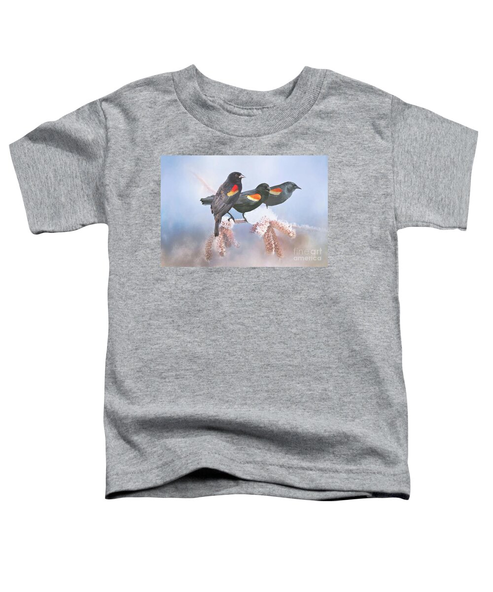 Blackbirds Toddler T-Shirt featuring the photograph Three Red-Winged Blackbirds in a Row by Janette Boyd