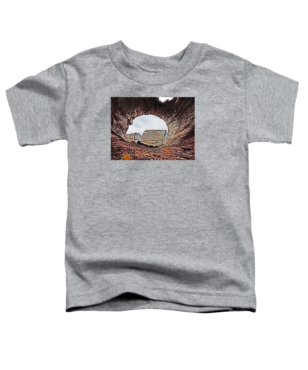  Toddler T-Shirt featuring the photograph Through the Looking Log 2 by David Frederick