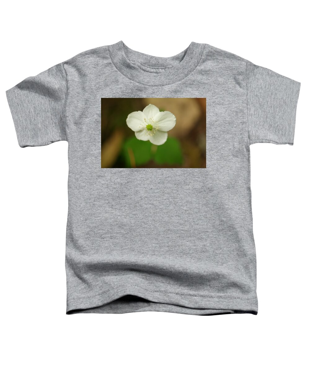 Flower Toddler T-Shirt featuring the photograph Tiny Button by Jeff Swan