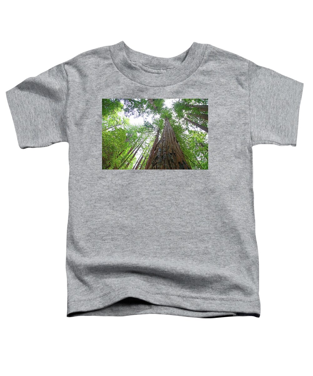 Redwoods Toddler T-Shirt featuring the photograph To The Sky by Shoal Hollingsworth
