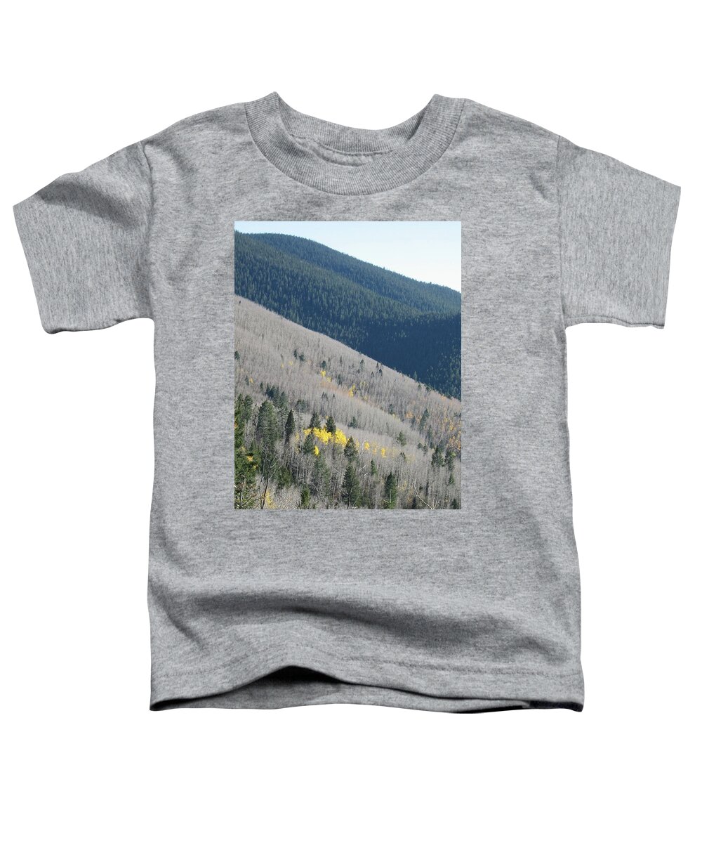 Aspen Toddler T-Shirt featuring the photograph Transitions by Judith Lauter