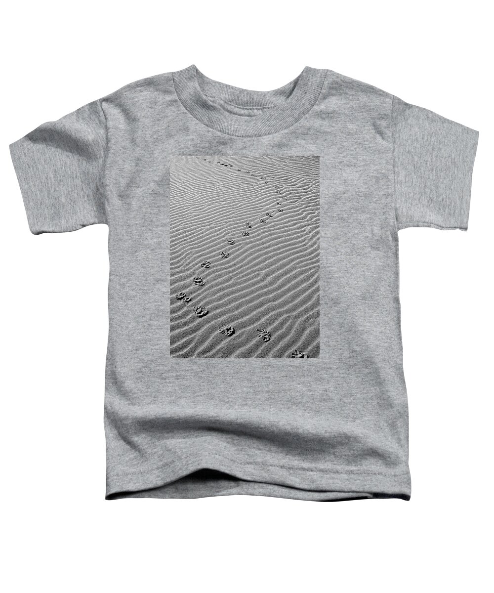 Landscape Toddler T-Shirt featuring the photograph Traversing The Sand by Lauralee McKay