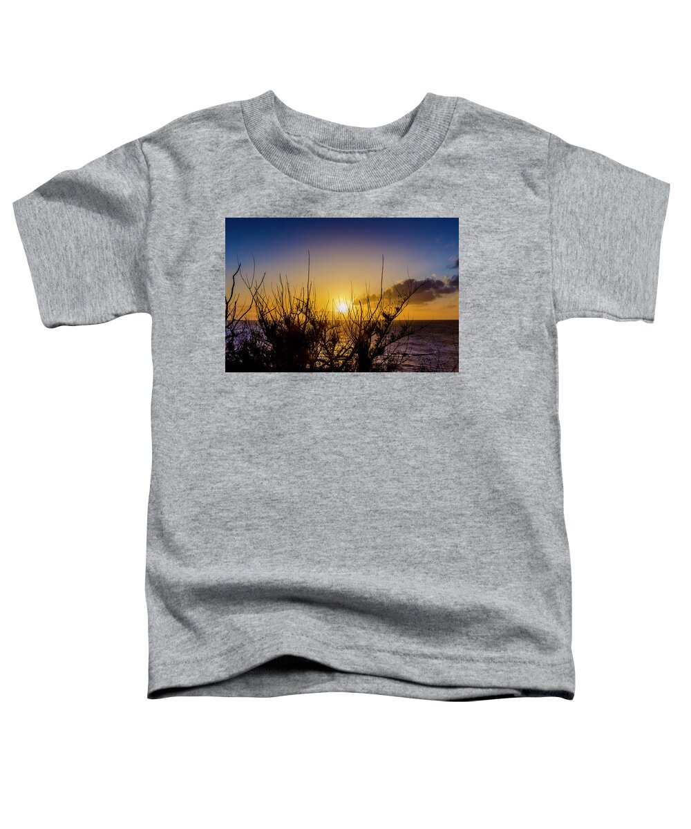 Ocean Toddler T-Shirt featuring the photograph Tree Sunset by Daniel Murphy