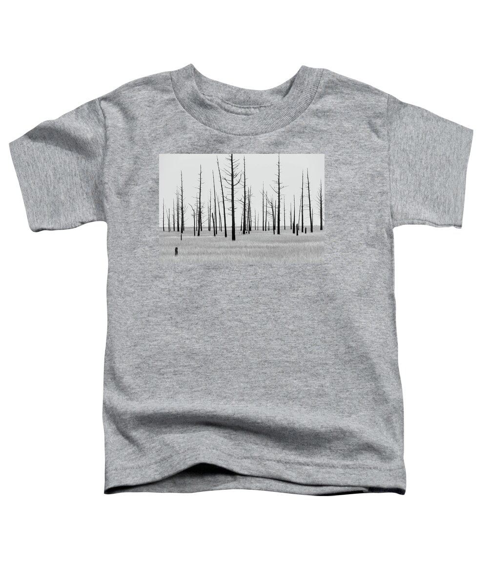 Landscape Toddler T-Shirt featuring the photograph Trees Die off by Louis Dallara