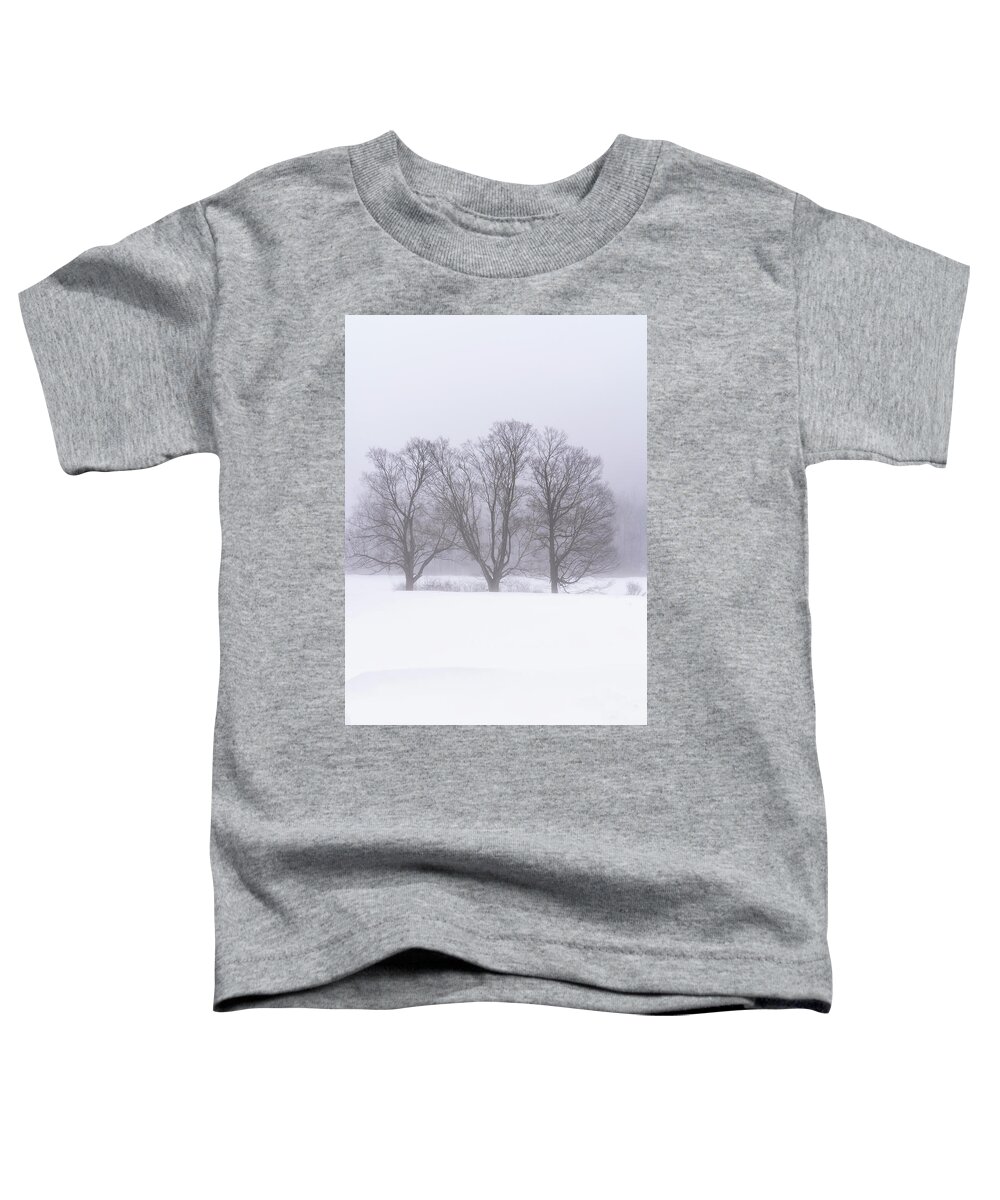 Williamsville Vermont Toddler T-Shirt featuring the photograph Trees In Fog by Tom Singleton