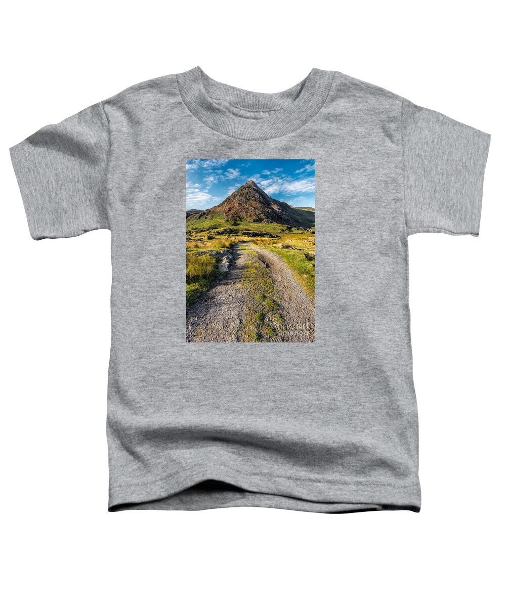 Tryfan Toddler T-Shirt featuring the photograph Tryfan Mountain Track by Adrian Evans