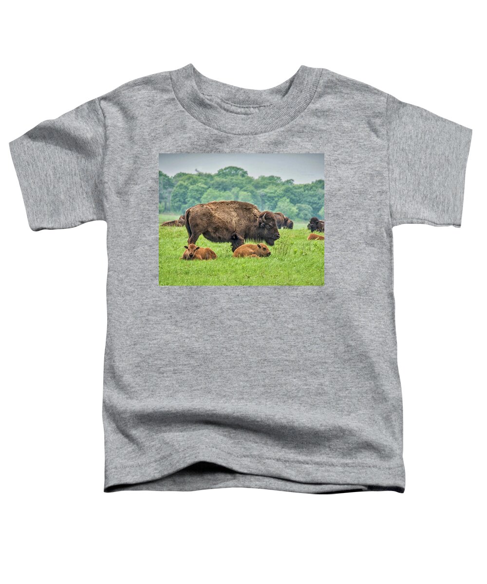 Tallgrass Toddler T-Shirt featuring the photograph Twin Baby Buffalo by Bert Peake