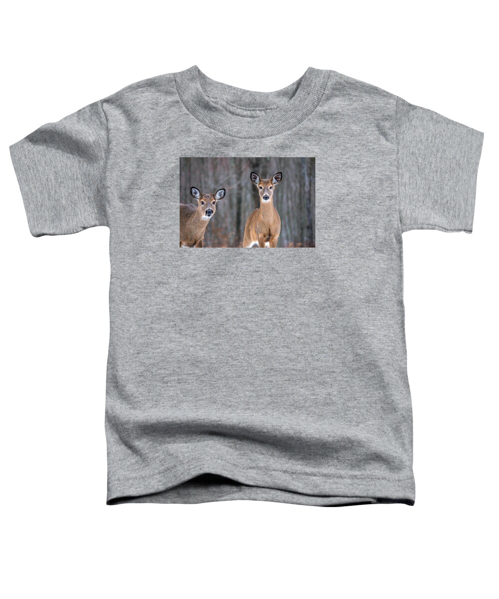 Two Is Better Than One When Searching Toddler T-Shirt featuring the photograph Two Beauties by Karol Livote
