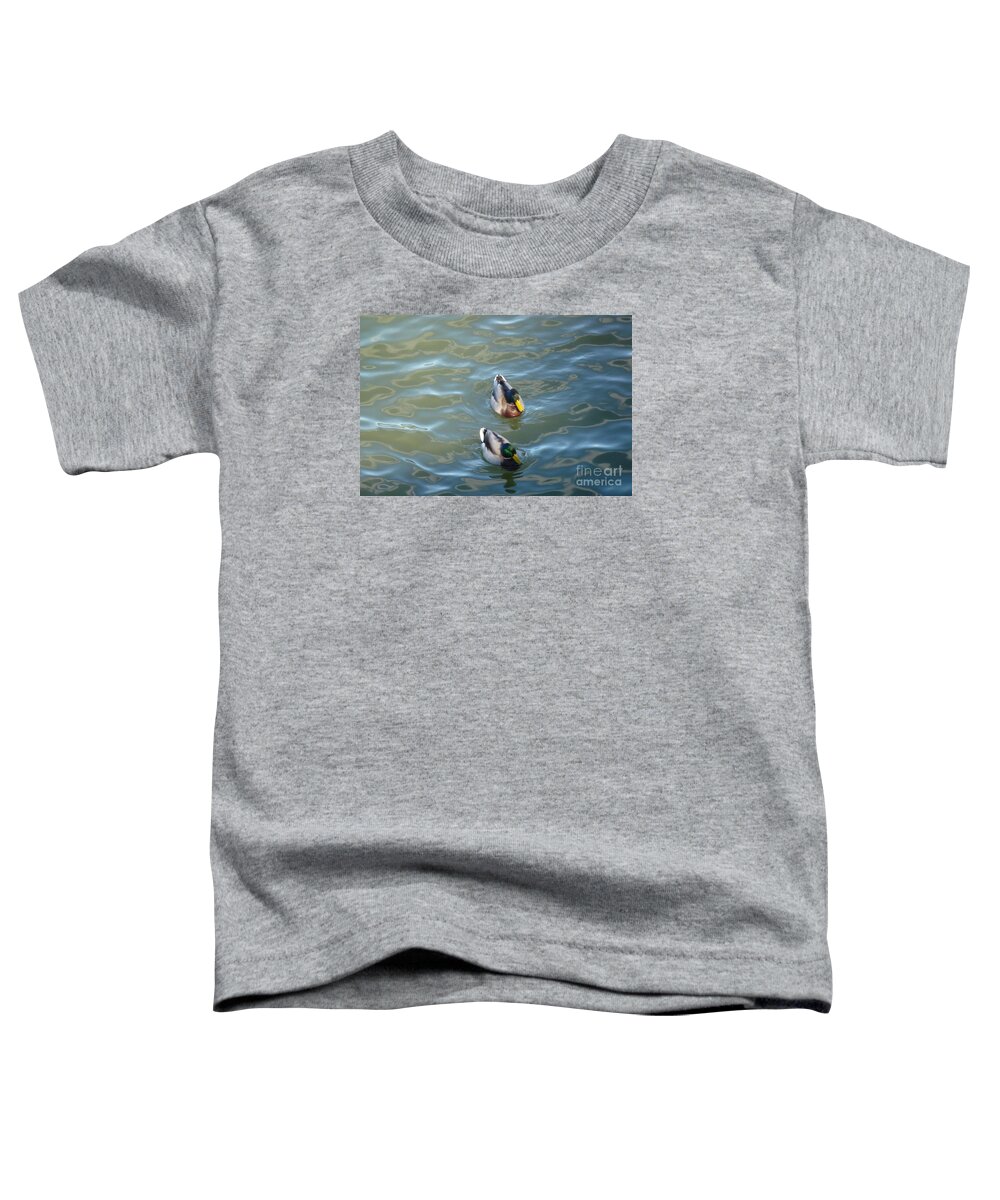 Beak Toddler T-Shirt featuring the photograph Two Brothers by Jean Bernard Roussilhe