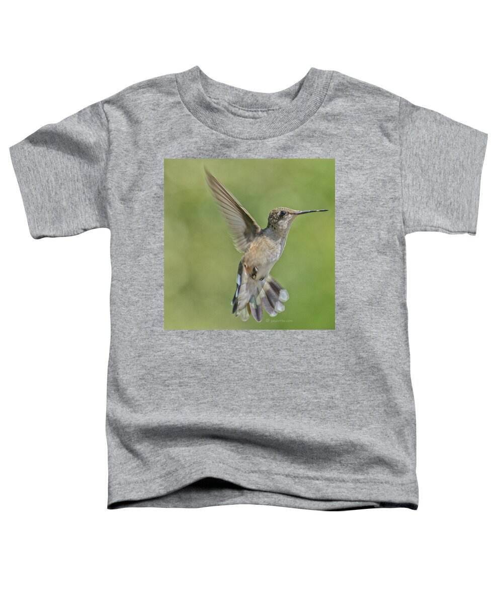 Hummingbirds Toddler T-Shirt featuring the photograph Untitled Hum_bird_four by Paul Vitko