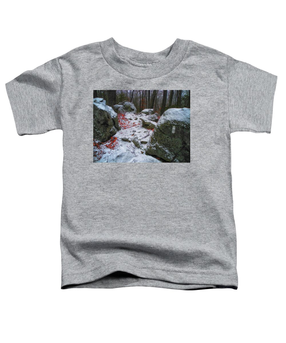 Up Moneyhole Mountain Toddler T-Shirt featuring the photograph Up Moneyhole Mountain by Raymond Salani III