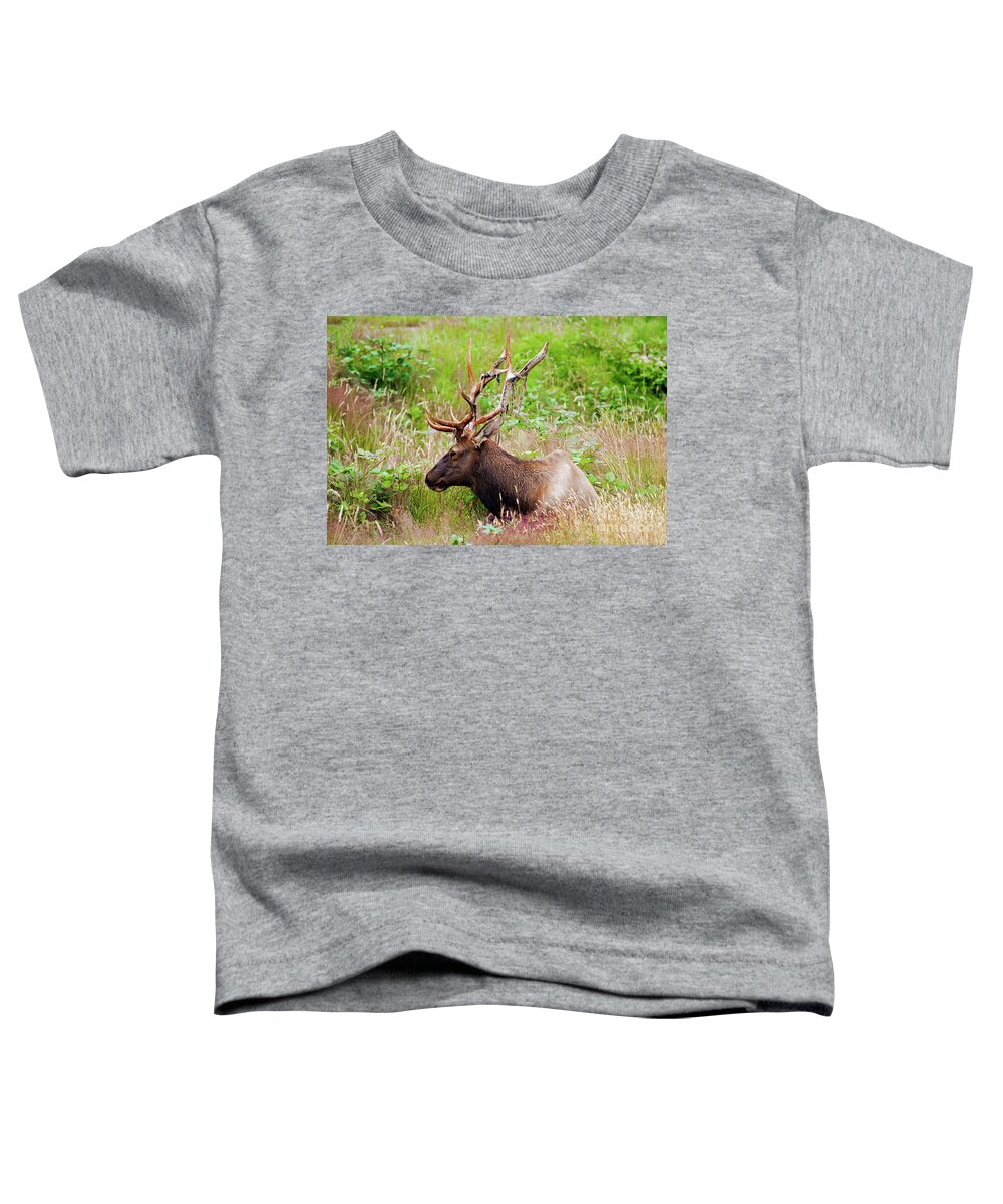Bull Toddler T-Shirt featuring the photograph Velvet Tatters by Michael Dawson