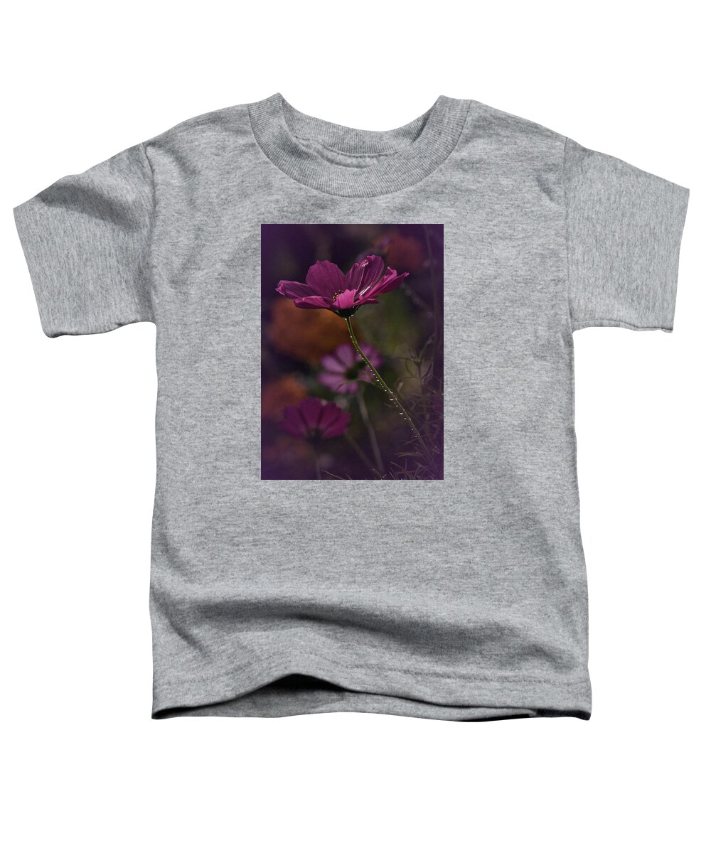 Cosmos Toddler T-Shirt featuring the photograph Vintage Cosmos by Richard Cummings