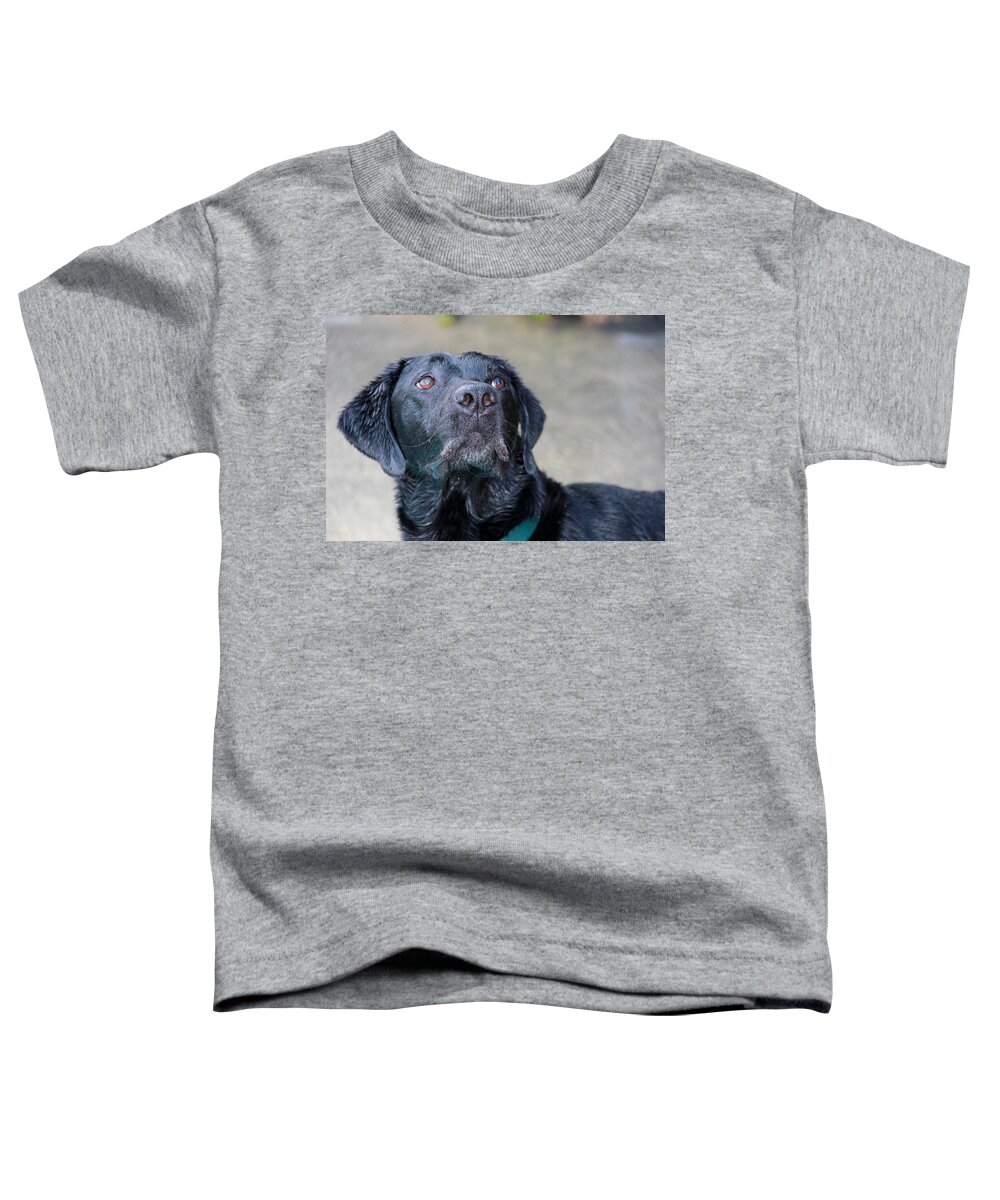 Photograph Toddler T-Shirt featuring the photograph Waiting On Your Command by Sheila Wedegis