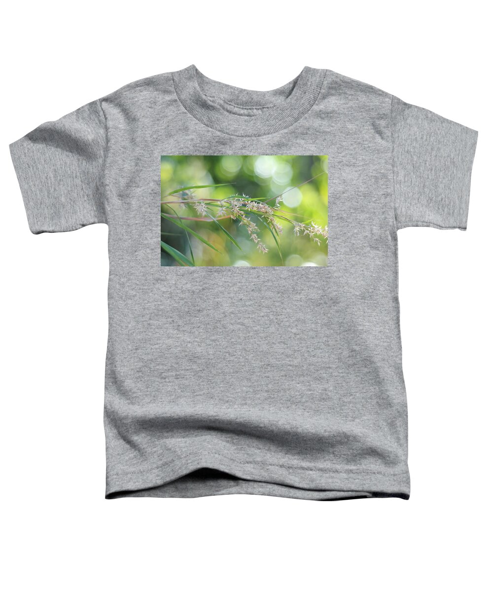  Jenny Rainbow Fine Art Photography Toddler T-Shirt featuring the photograph Waterfall of Lights. Grass Art by Jenny Rainbow