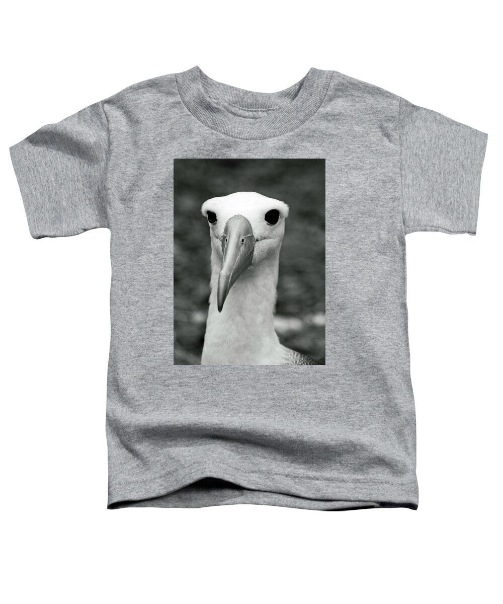 Waved Albatross Toddler T-Shirt featuring the photograph Waved Albatross by Sally Weigand