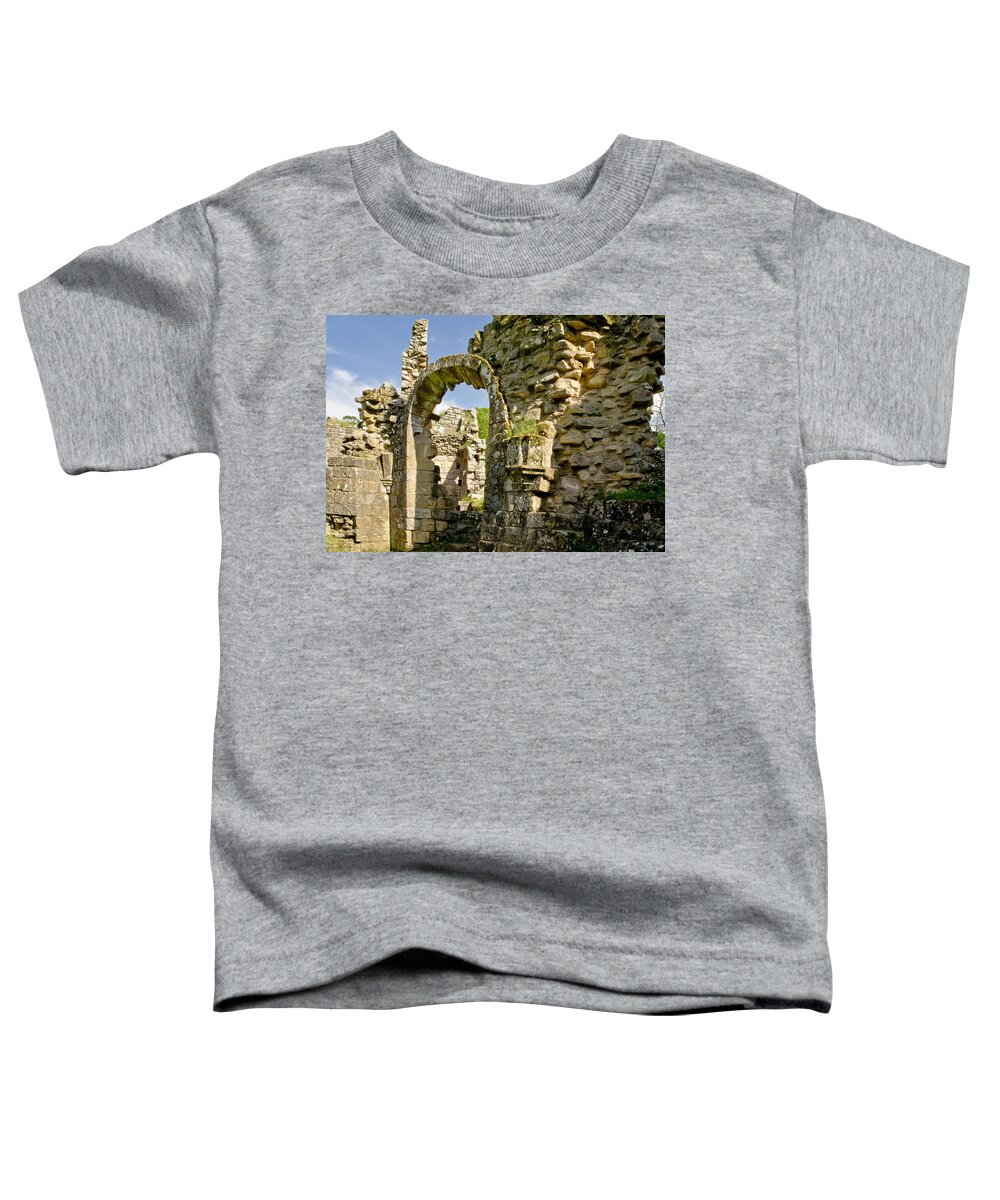 Stone Toddler T-Shirt featuring the photograph Weathered. by Elena Perelman
