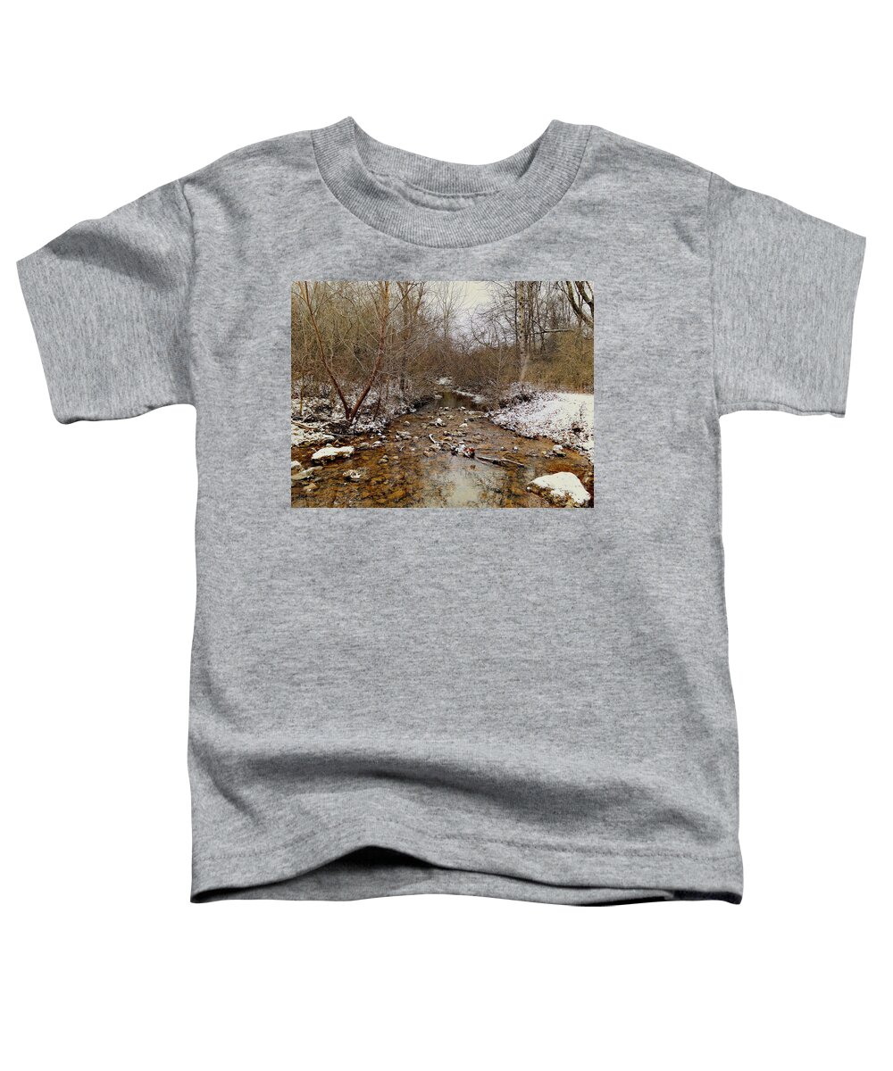 Snow Toddler T-Shirt featuring the photograph What Snow Doesn't Fall by Steven Gordon