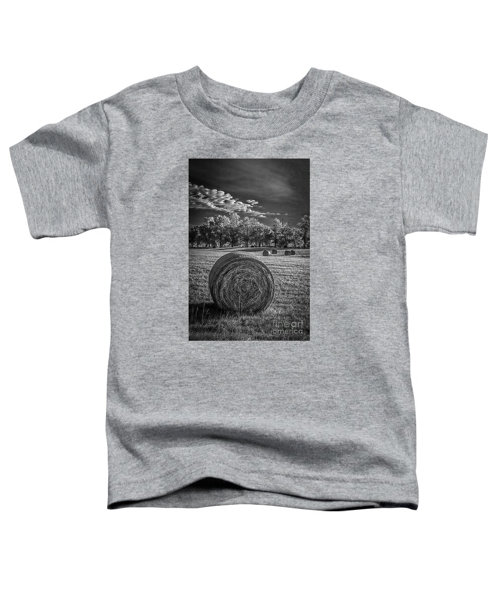 Needwood Toddler T-Shirt featuring the photograph What the hay---IR by Izet Kapetanovic