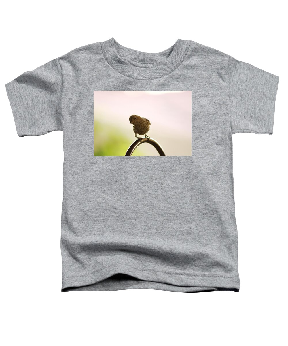 Female House Finch Toddler T-Shirt featuring the photograph Whats Up House Finch by Colleen Cornelius