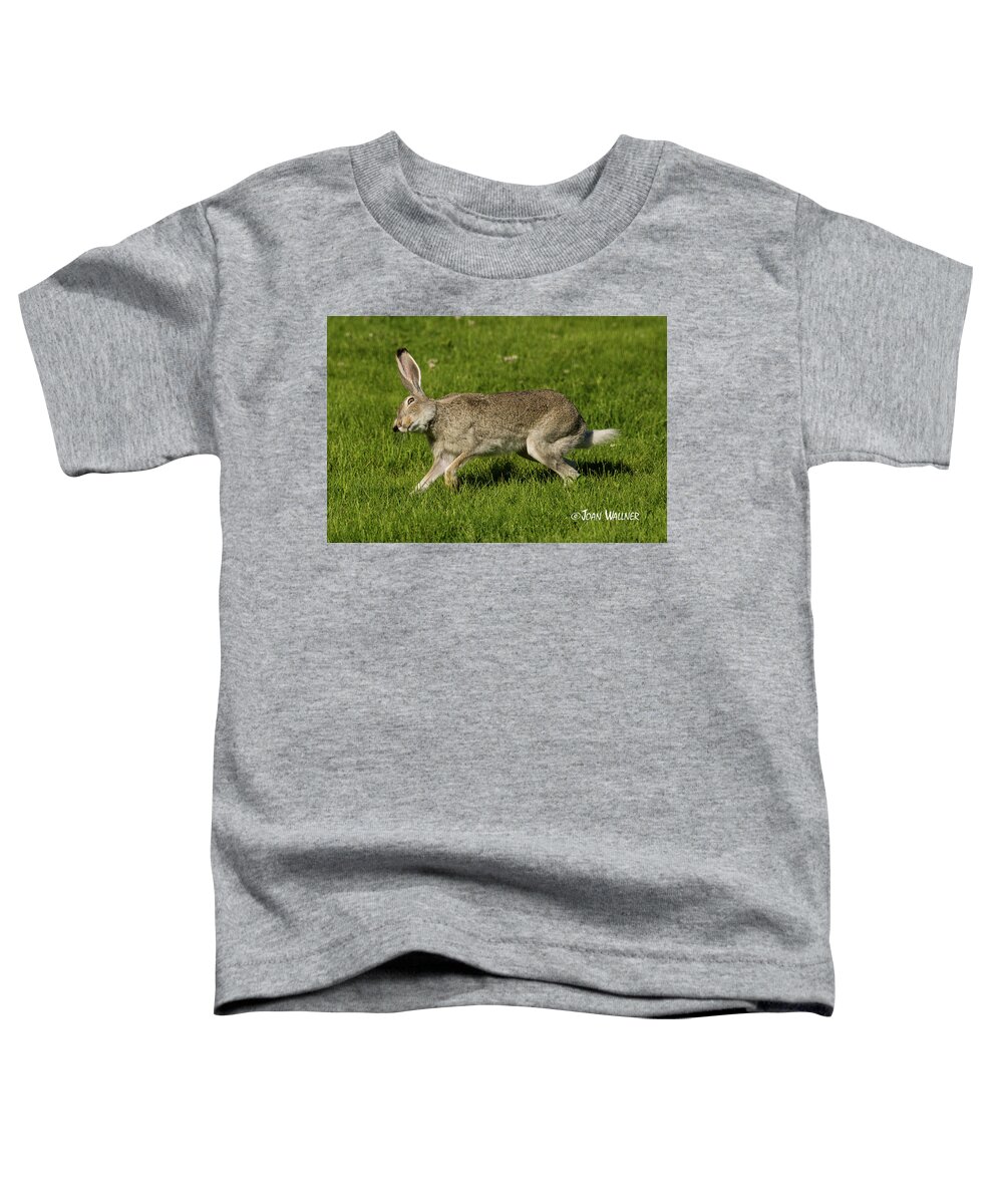 Herbivore Toddler T-Shirt featuring the photograph What's Up There? by Joan Wallner