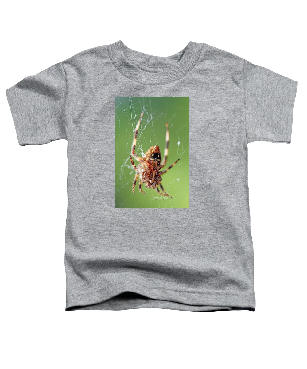 Insects Toddler T-Shirt featuring the photograph Where Webs Come From by Jennifer Robin
